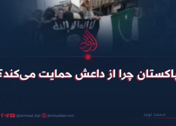 پاکستان چرا از داعش حمایت می‌کند؟