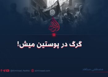 گرگ در پوستین میش!