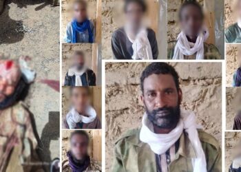 یک مسئول داعشی در مالی کشته شده و یکی دیگر خود را به ارتش تسلیم کرده است