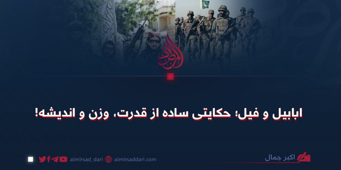 ابابیل و فیل؛ حکایتی ساده از قدرت، وزن و اندیشه!