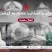 جنرالهای پاکستانی؛ معتاد به گوشت علما