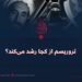 تروریسم از کجا رشد می‌کند؟
